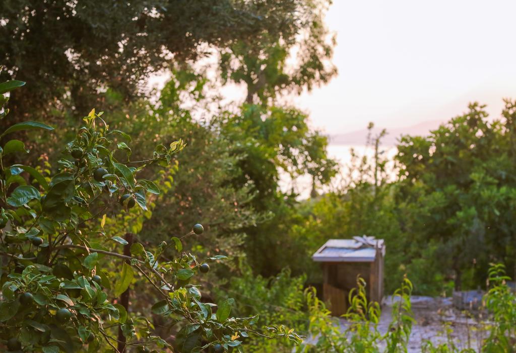 Villa Kaktus Cakil Kaş Exterior foto