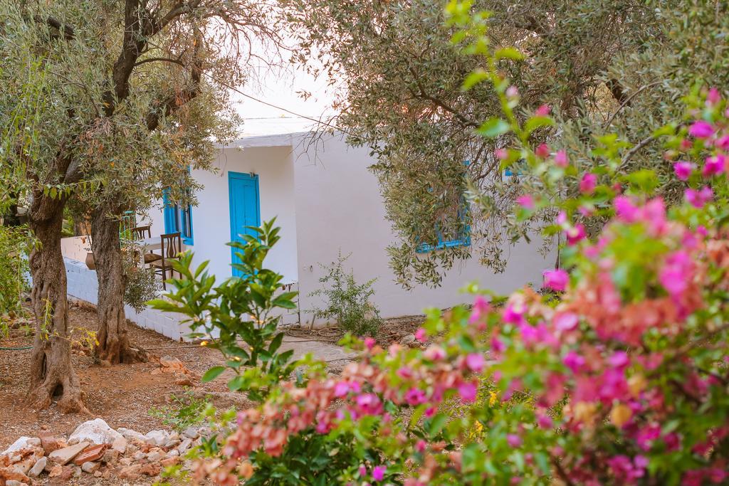 Villa Kaktus Cakil Kaş Exterior foto