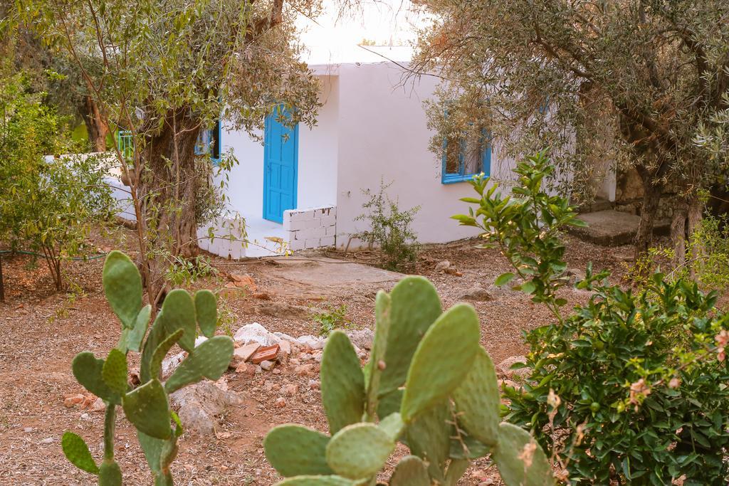 Villa Kaktus Cakil Kaş Exterior foto